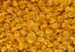 Cappelletti_0185