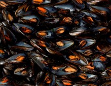 Vongole_0237