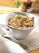 Orzotto_ai_funghi_porcini_LR