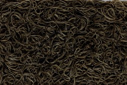 Spaghetti-nero-di-seppia_0194
