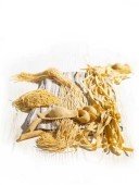 Pasta_LR-farine-Denti-copia